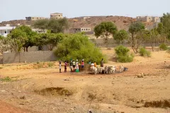 da Senegal in Mostra  2011 © Vittorio Errico
