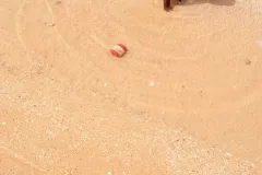 da Senegal in Mostra  2011 © Vittorio Errico