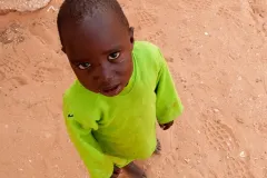 da Senegal in Mostra  2011 © Vittorio Errico