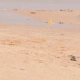 viaggio in africa manca l'acqua in africa bambino di spiaggia talibè senegal