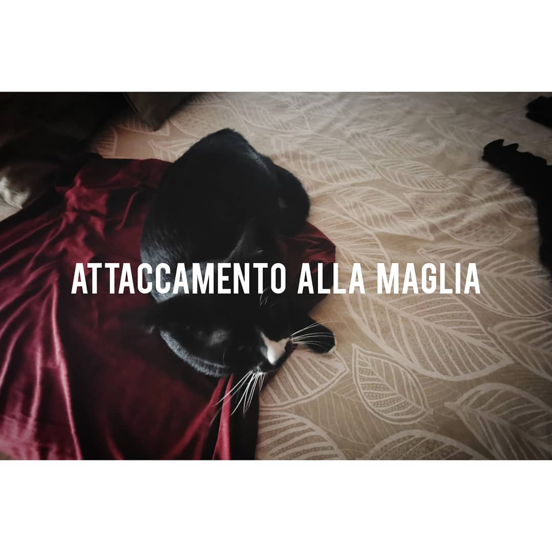 Appunti 04 12 Appunti 04, 15/09/2019