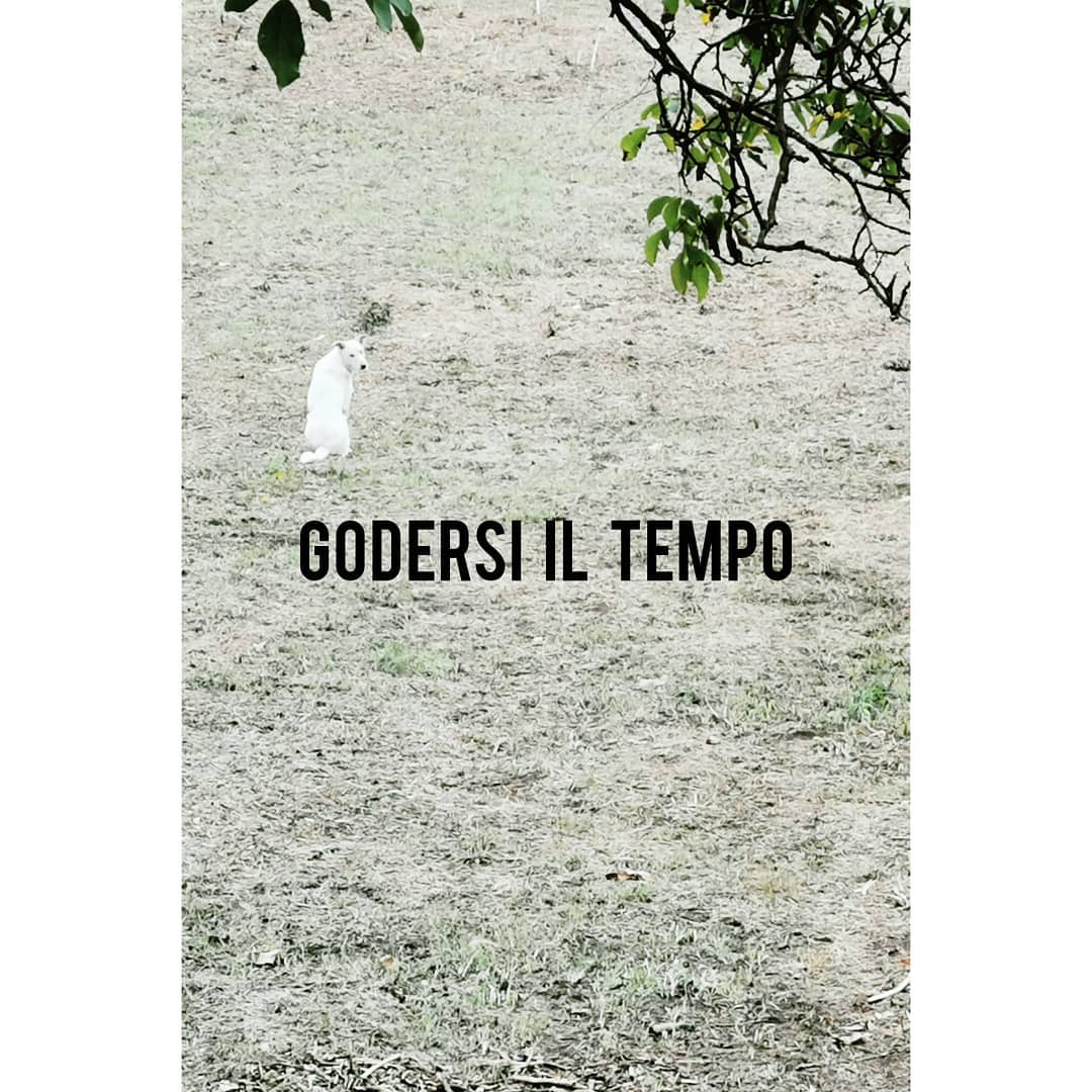 Appunti 04 15 Appunti 04, 20/09/2019