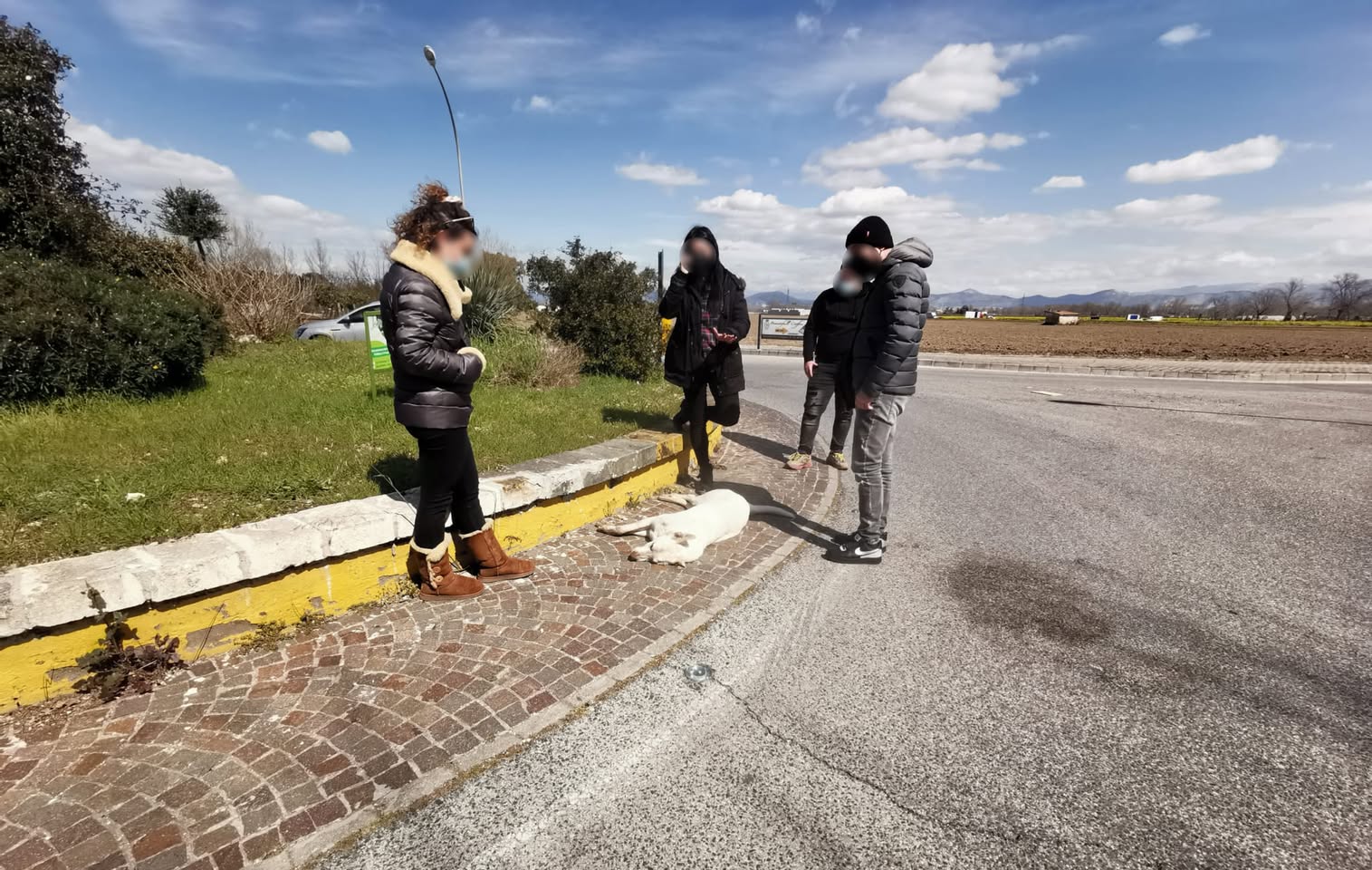Stamattina, nel bel mezzo di una rotonda, 22/03/2021
